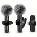 Portable Wireless Microphone Kit