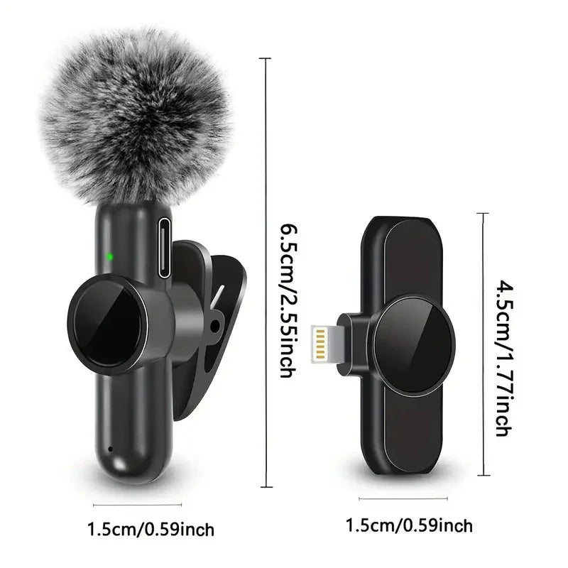 Portable Wireless Microphone Kit